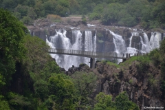 Zambia00368