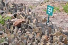 Zambia00095