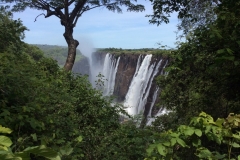 Zambia00133
