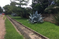 Zambia00049