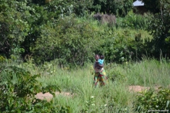 Tazara00174