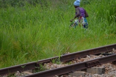 Tazara00246