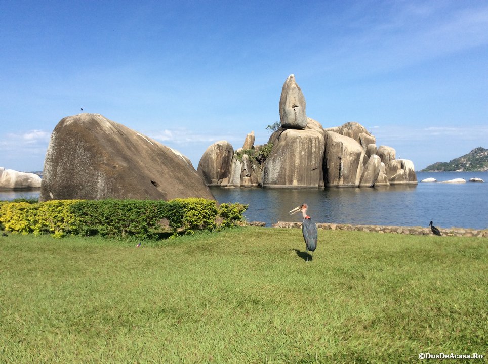 Bukoba și Bolovanii Dansatori din Mwanza (Tanzania 1)