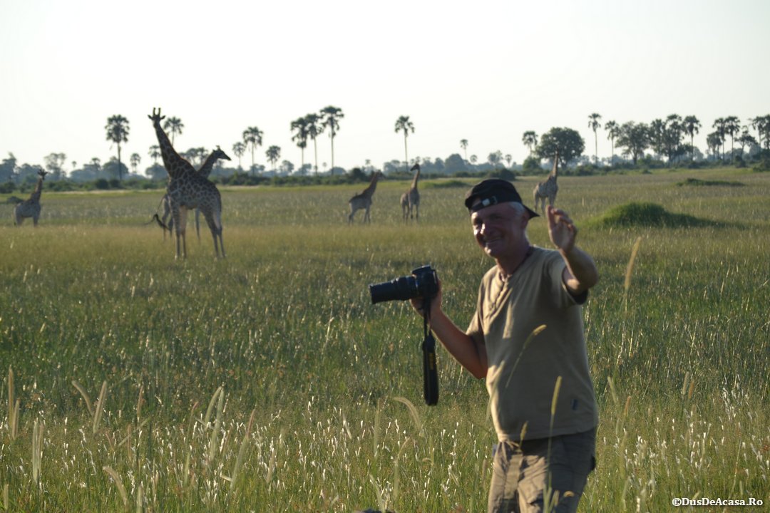 Plimbare cu mokoro și pe jos în Delta Okavango (2)