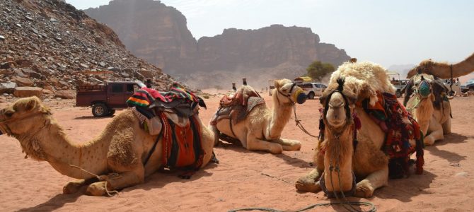 Petra, Aqaba și Wadi Rum – the basics (7)