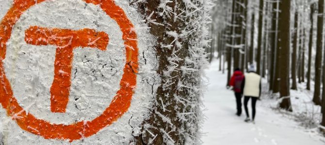 Pe Via Transilvanica iarna și alte câteva trasee din nordul țării