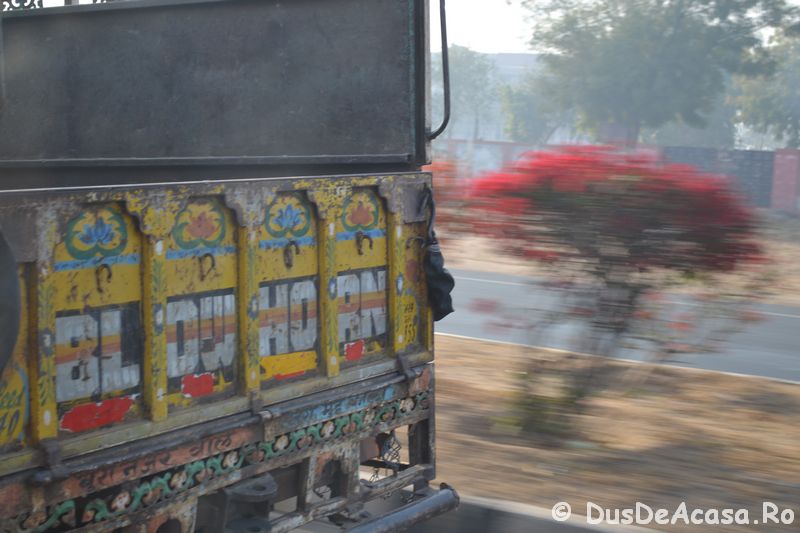 India la cald sau ‘Ce biliboașca mea?’ (1)