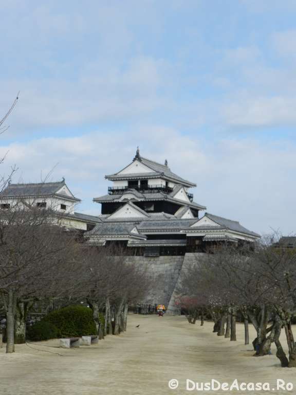 Despre castelul din Matsuyama si poduri japoneze S.F. din Shikoku (13)