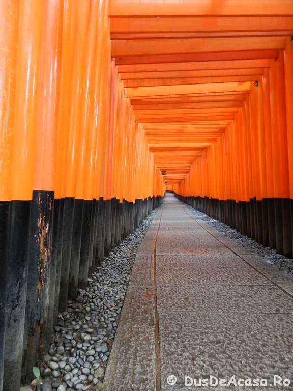 Ce să vizitezi în Kyoto? Temple și Pădurea de Bambus (ep7)