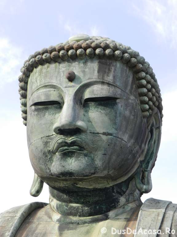Trenuri spre Marele Buddha de la Kamakura (16)